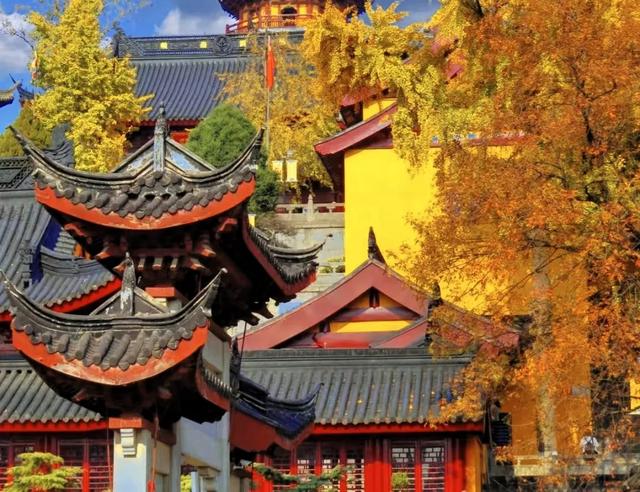 南京古都秋绝美日,妥妥的国内赏秋天花板,12个绝美秋景接着。