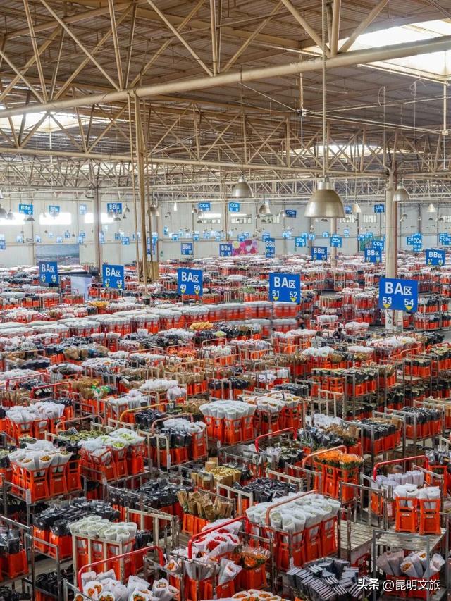 假期最后一天，留给斗南！好吗？把新年浪漫打包回家！