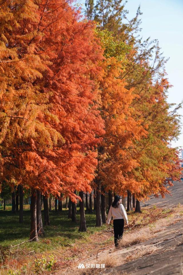 在汉阳的秋天，捡出一个灵感宝库