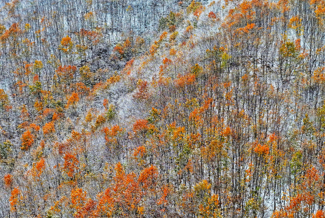 这份“河南冬日色卡”，每一帧都是壁纸