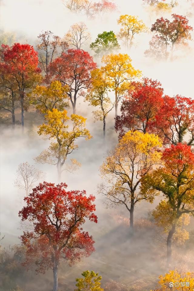 「散文」回首处，看群山尽染，绚烂是初冬的独白