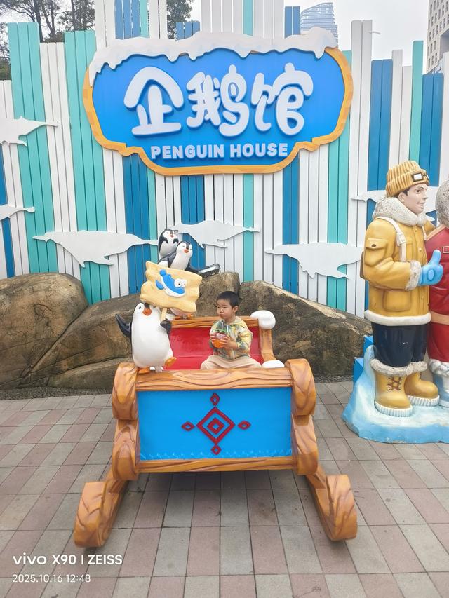 成都 极地海洋公园（58）2025年10月16日