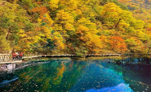 安康：探秘秦巴秋色的完美旅程