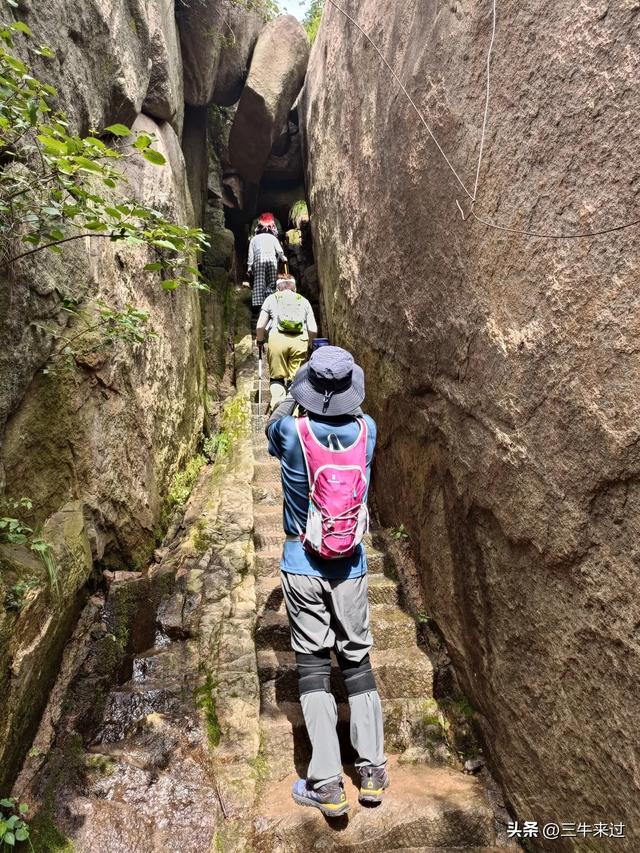 无为在歧路，避暑去鲁山
