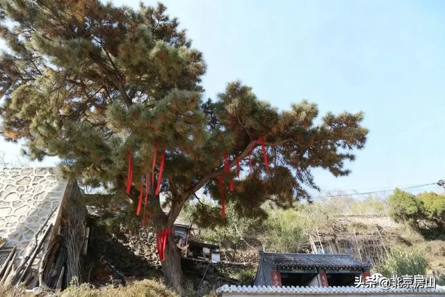 赤染宝水·把秋天绘成一幅画!