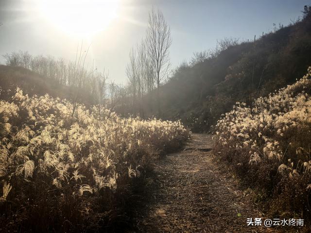 游览了这片芦花后，我又到蓝田这个没有拆掉的村子，见到这些老人