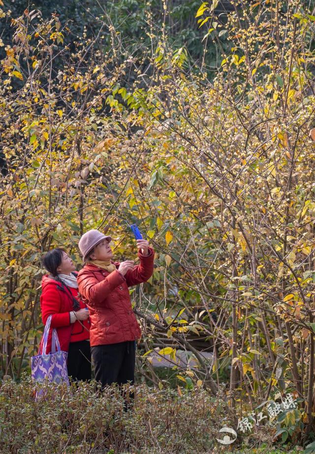 这一波是真香了！