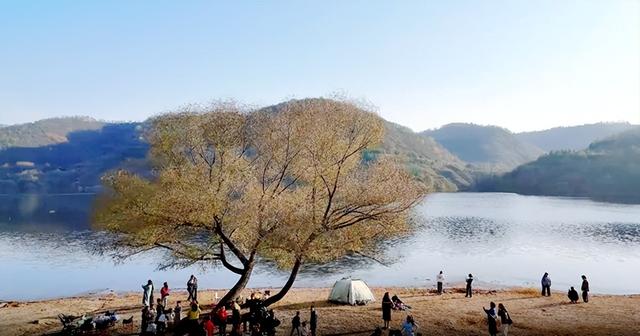 2025年11月第一周 渭南文化旅游资讯微报（组图）