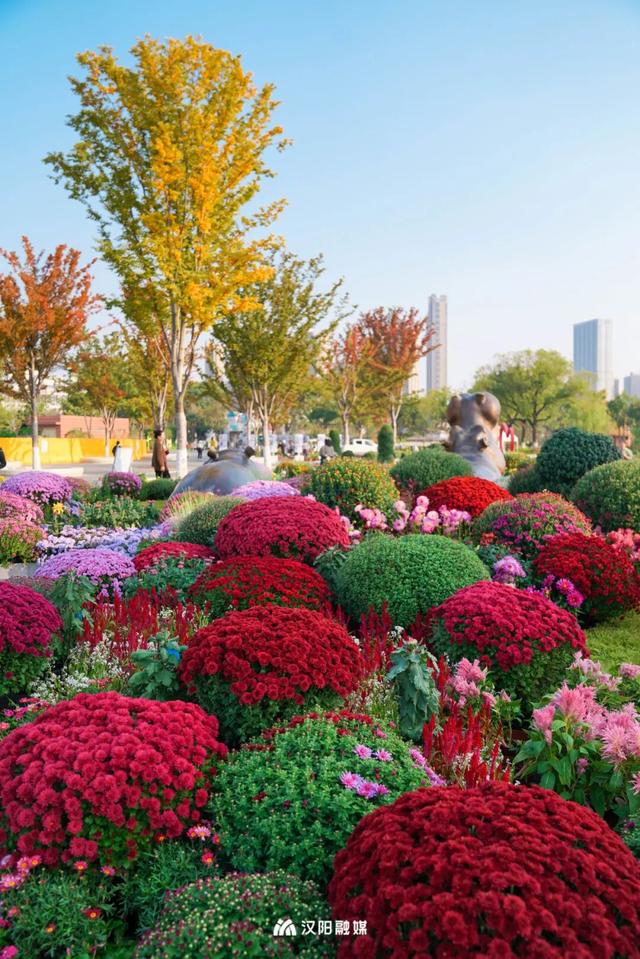 汉阳秋游隐藏副本：逛童话世界，刷个顶流花展