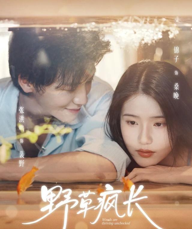 红果全网有效播放量最高的10部短剧，第一名1.18亿强势登顶榜首！