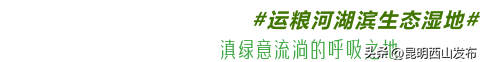 @外地人，不用找了！来昆明旅居锁死西山这三大片区
