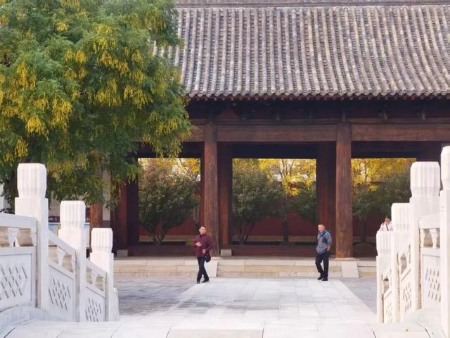 这个季节总要去趟正定，去邂逅那迷人的古建红和金秋黄！