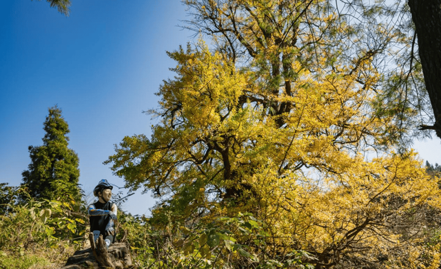 跟我回贵阳！周深发出家乡邀请，带你探寻他私藏的绿水青山！