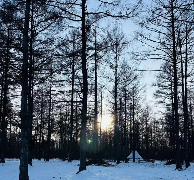 我又来呼伦贝尔了！