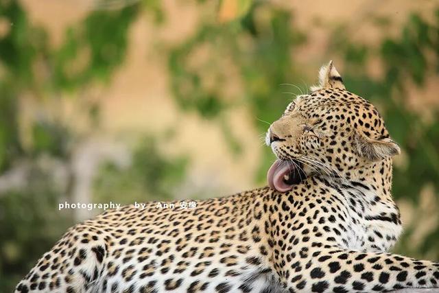 博茨瓦纳：死贵的旅游地，是值得追梦，还是被过度神话的伪天堂？