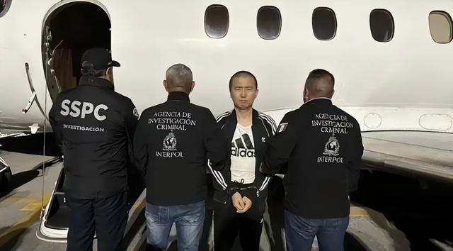 华人毒枭落网！年赚11亿，迎娶墨西哥美女老婆，背后黑幕触目惊心