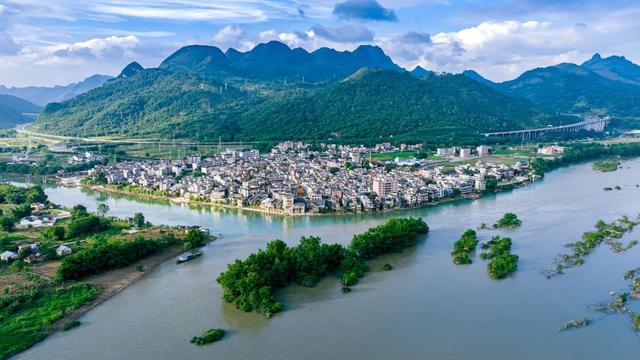 我在阳山过暑假｜夏日来阳山，在绿美生态中感受诗意清凉