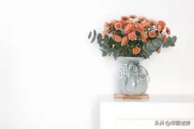 最厉害的活法：清心寡欲，无欲无求，少社交图片