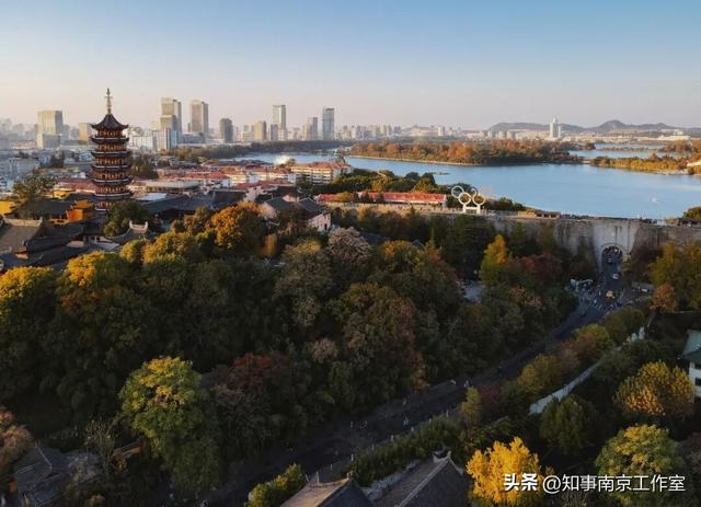 51张照片告诉你，南京的秋天有多美！