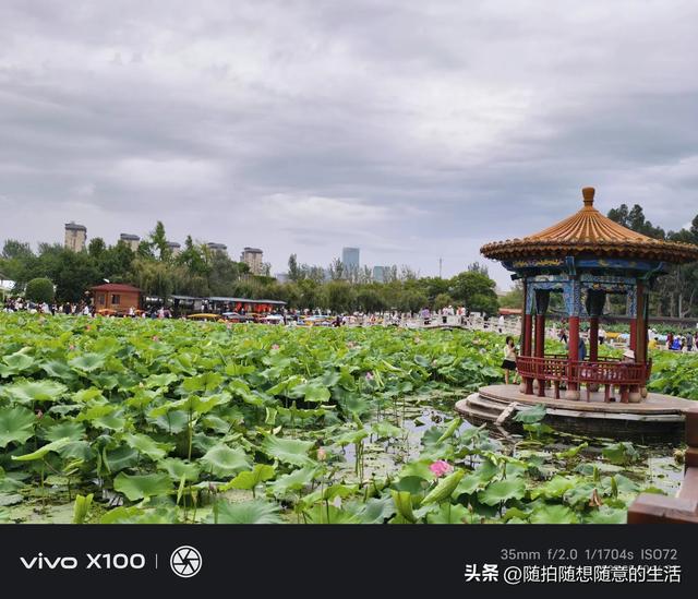 雨游大观园