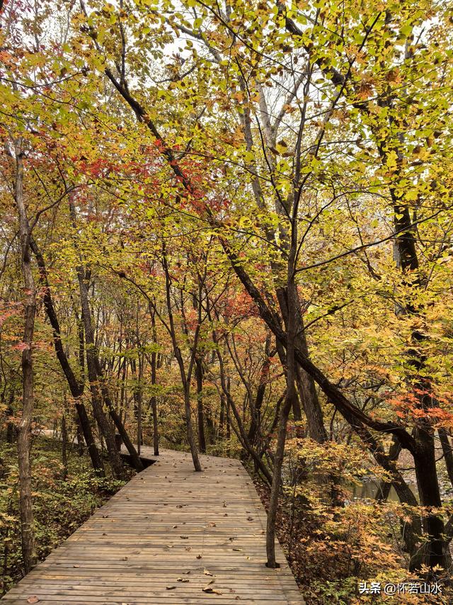 2025辽宁赏秋之旅日记(4)——游览关门山和本溪水洞