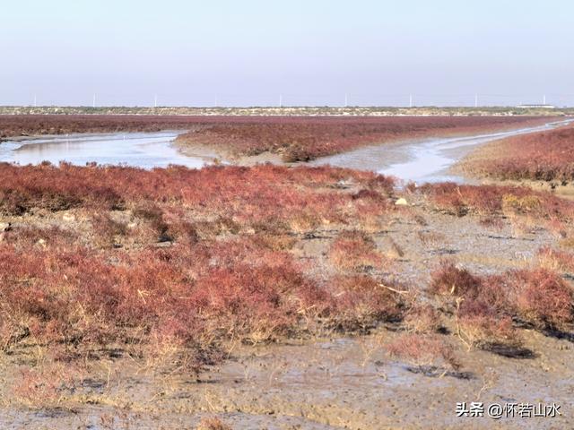 2025辽宁赏秋之旅日记(5)——从本溪前往盘锦 游览红海滩景观