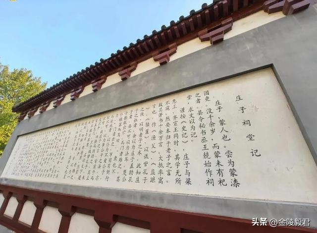 绿阳春拂柳蒙城 三千年文化朝圣