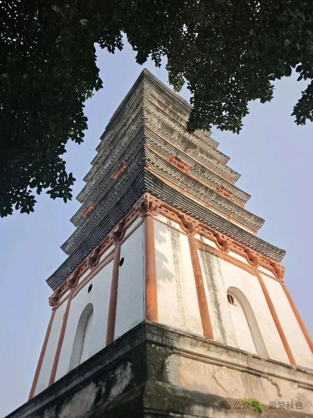 为了一碗羊肉汤，去了简阳