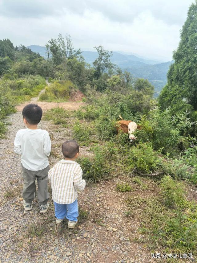 10条初秋徒步线路，去草甸、果园、森林里找秋天