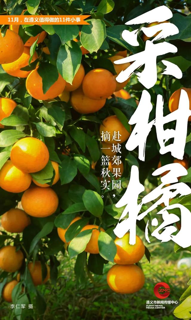 11月，在遵义值得做的11件小事