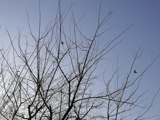漂亮女邻居老公常年出差，她家灯泡总坏，每次都喊我去修