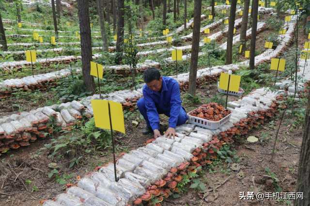 来江西广昌赴一场秋意之约