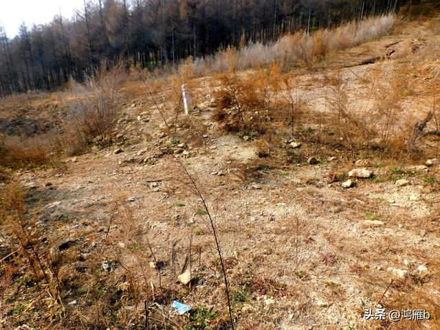 明长城本溪段全程探寻