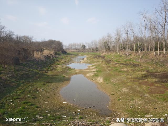 晴日青龙洲，一程春光一程忆