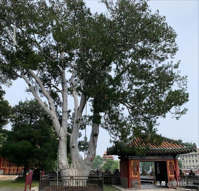 （七）北海公园以及王府井大街游记