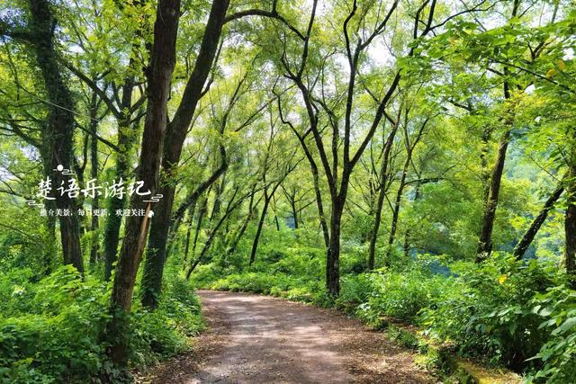 浙江宁波这两处风景相距百米，曾经是最红的玩水地，适合休闲纳凉