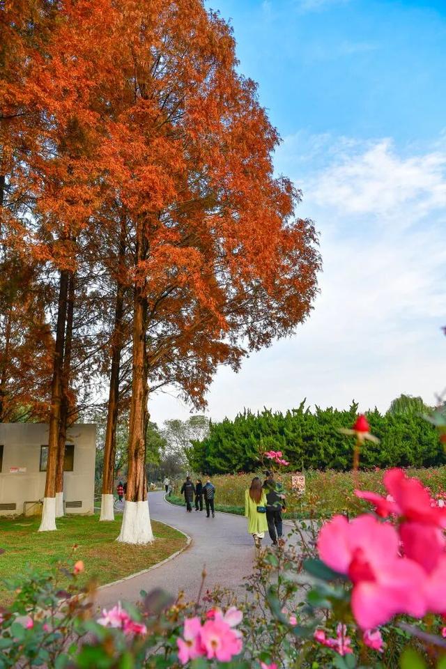 青睐绵阳 || 这里，绝美，超出片！