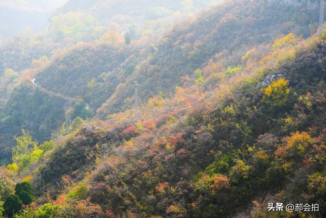 焦作窄门的深秋色彩！走五彩步道，赏太行红叶
