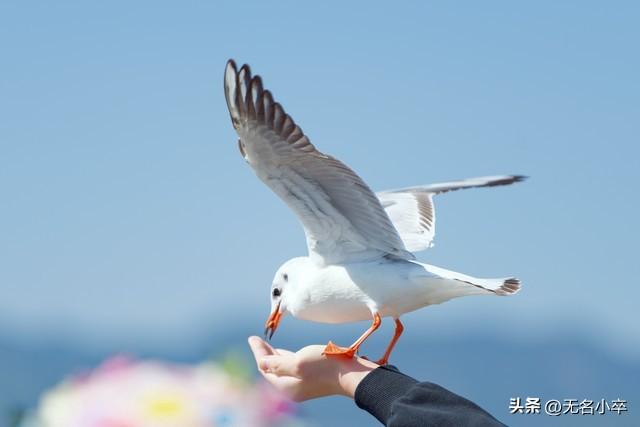 真的让人没想到，云南昆明这两个地方这么火爆还免费，游客这么多