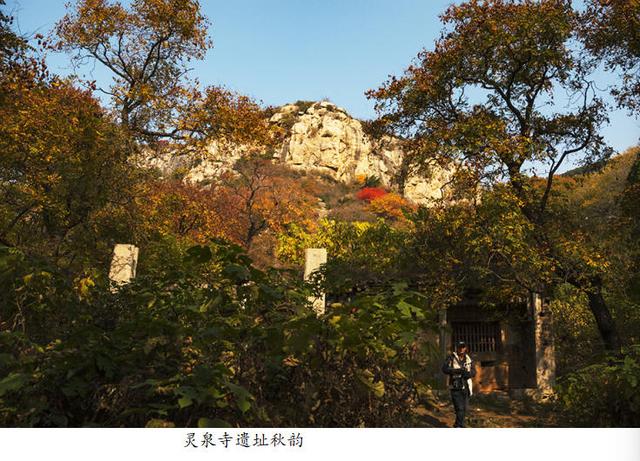 吴秀成：金秋探寻灵泉寺