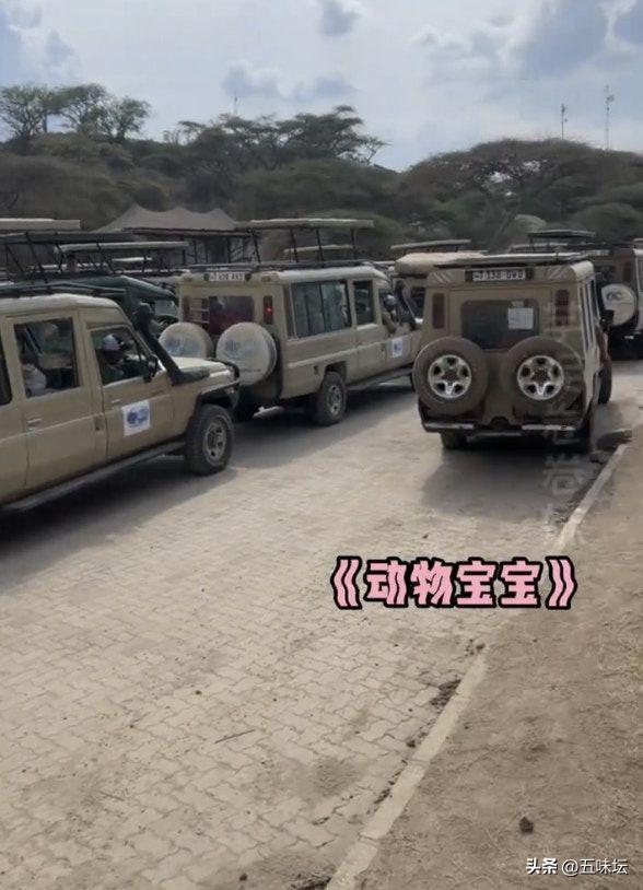 长假出境游火爆，多个海外景点中国游客数量显著增长