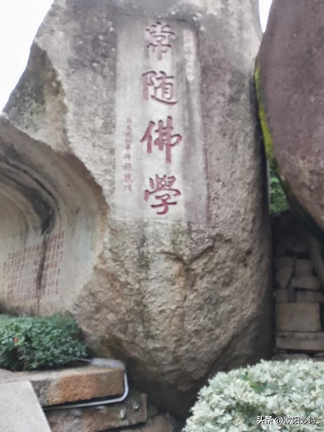 我来夏门去南普通寺卸却“班味”装着“禅意”回烟火人间