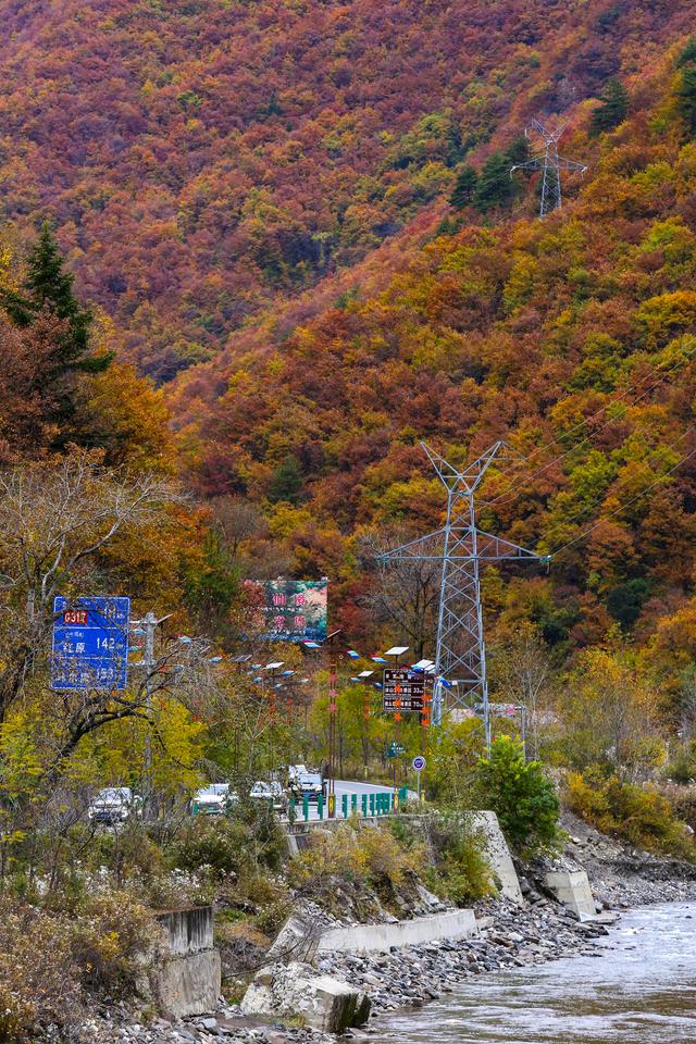 光影札记 | 黑水彩林：八十里画廊的彩林，藏着川西最绚烂的秋