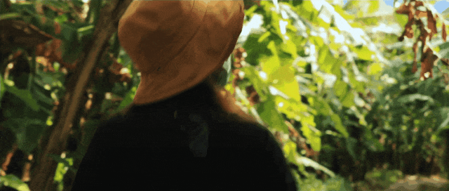 这几年最大的教训，想去西藏得趁早！