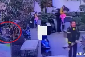 男子铁锹拍死柯基后续：狗主人称儿子被杀，爱狗人士疯狂攻击女儿图片