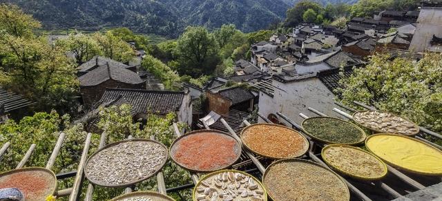 婺源：诗意山水间，文明旅游行