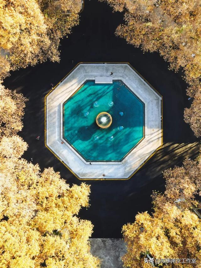 51张照片告诉你，南京的秋天有多美！