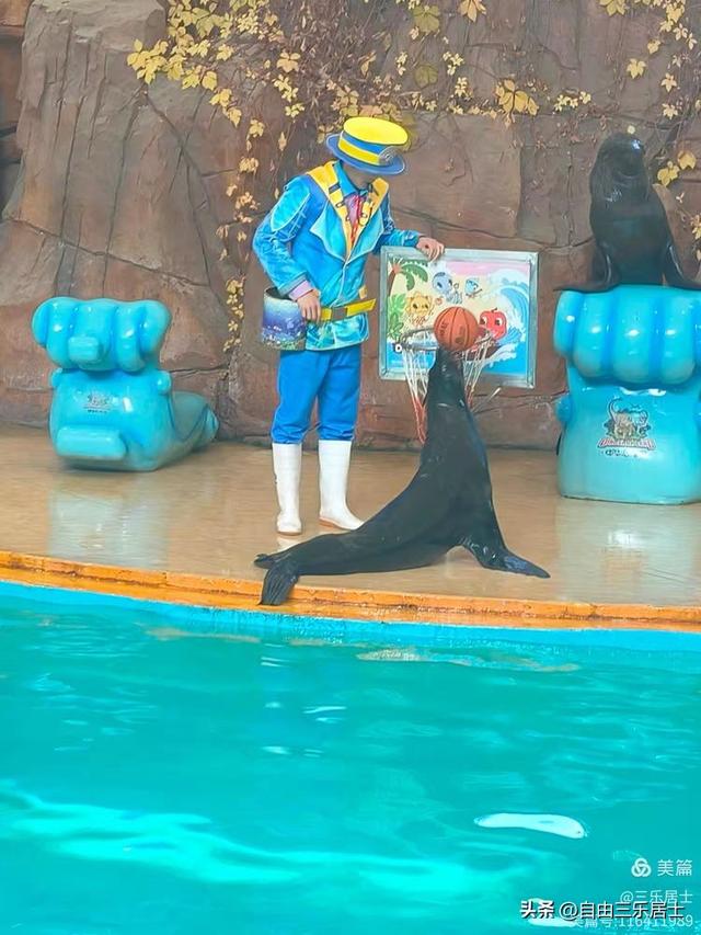 常州中华恐龙园游记