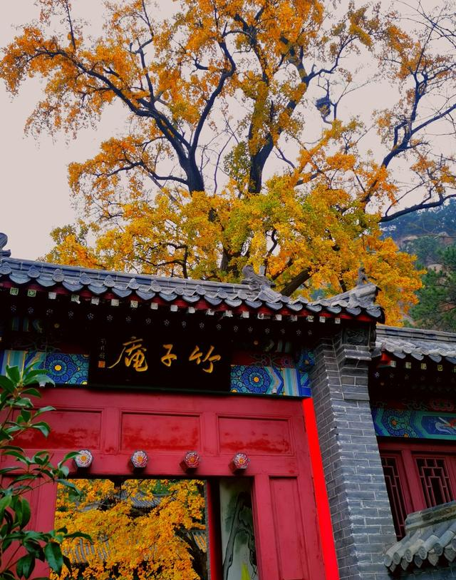 别再只去海边了！李沧这10个神仙公园，遛娃、拍照、洗肺全搞定