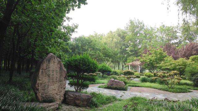 全部免费！洛阳最值得一去的8个宝藏景点，好玩又好拍，赶紧收藏